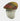Brown, Red & Yellow Checked Herringbone Wool Harlem Cap