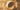 The Art of the Panama - Hilditch & Key