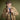 Beige Cotton Bogart Coat
