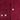 Contemporary Fit Burgundy Fine Corduroy Shirt with Button Down Collar & Two Button Cuff