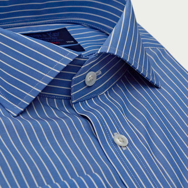 Contemporary Fit Dark Blue & White Fine Stripe Sea Island Quality Cotton Shirt with Cut - Away Collar & Double Cuff