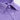 Contemporary Fit Purple Gingham Check Cotton Shirt with Classic Collar & Two Button Cuff