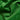 Emerald Cotton Corduroy Trousers