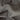 Mid Grey Pure Wool Trousers