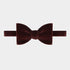 Burgundy Silk Velvet Bow Tie